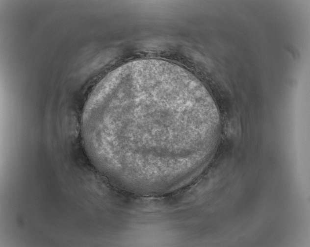 X0000113311253200910131100