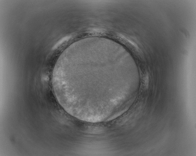 X0000113311254200910131100