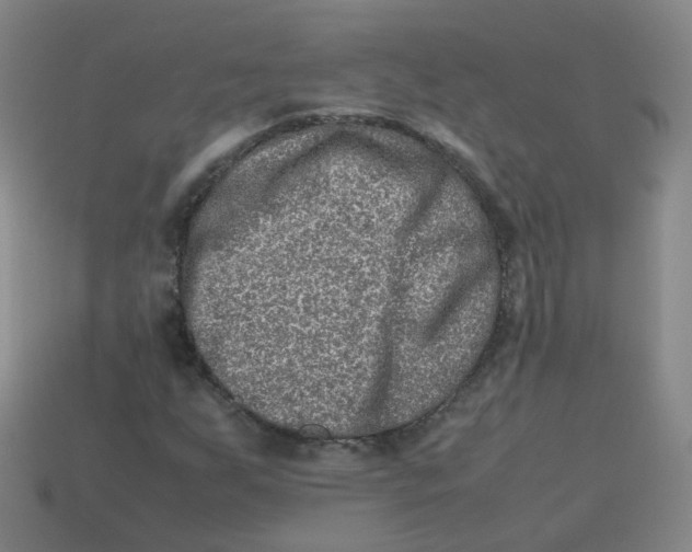 X0000113311255200910131100