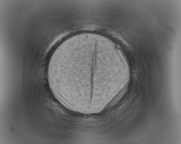 X0000113311256200910131100