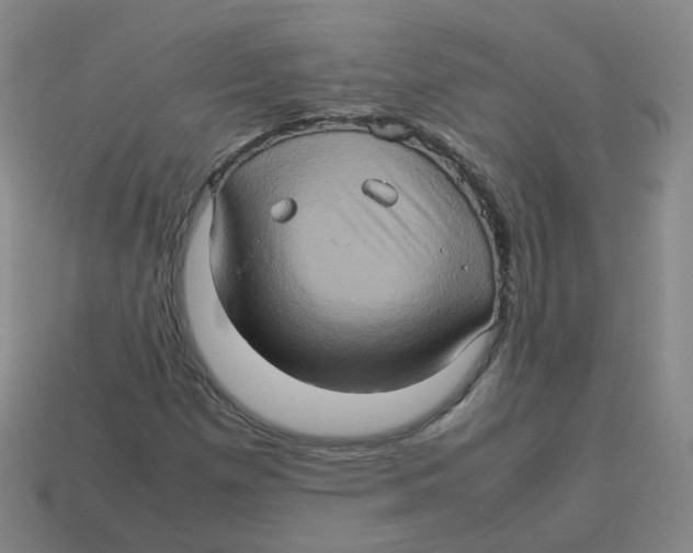 X0000113311257200910131100