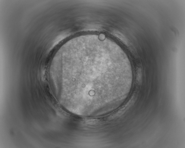 X0000113311258200910131100