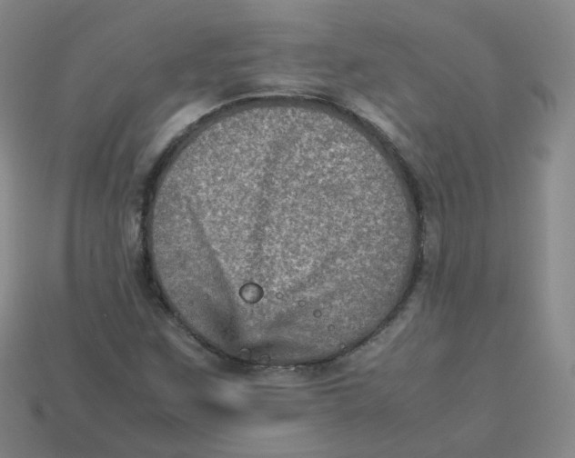 X0000113311259200910131100