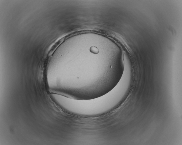 X0000113311260200910131100