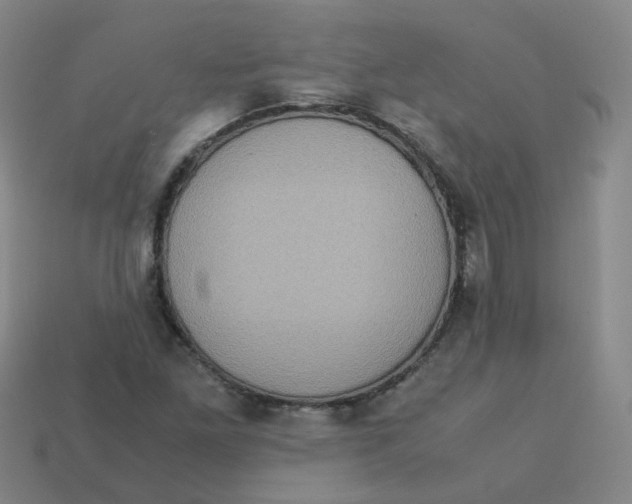 X0000113311261200910131100