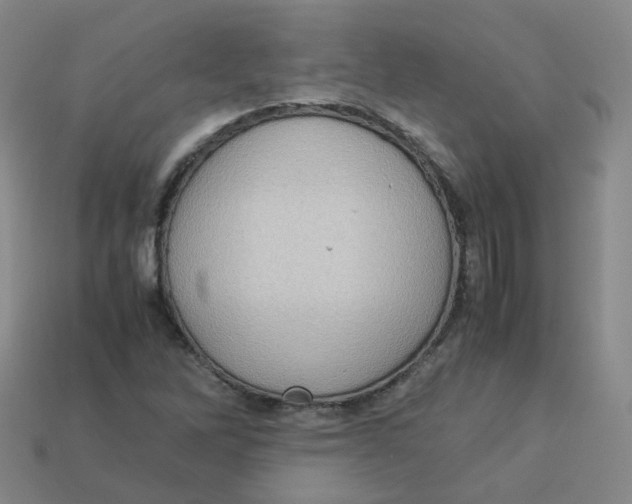 X0000113311262200910131100