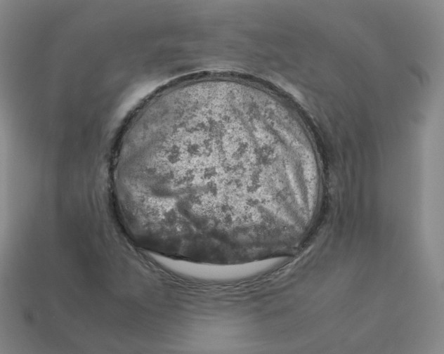 X0000113311263200910131100