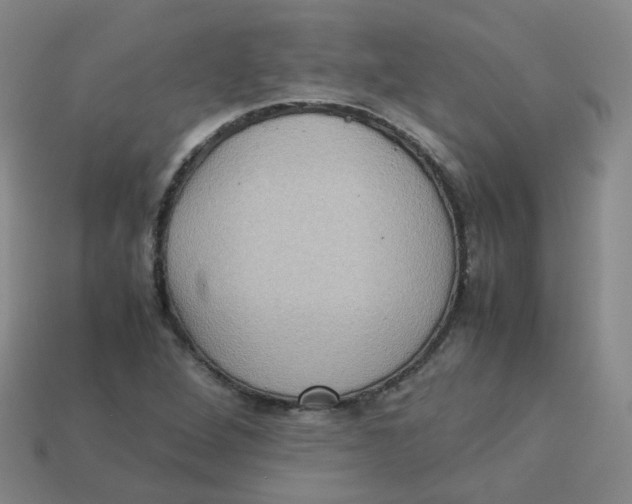 X0000113311264200910131100