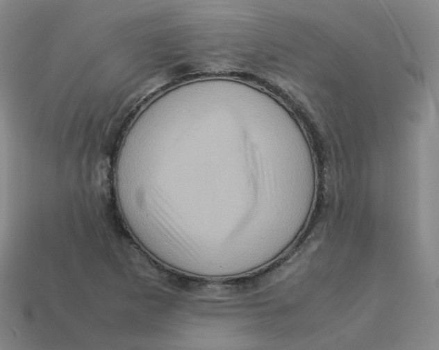 X0000113311265200910131100