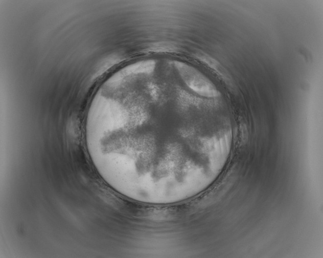 X0000113311266200910131100