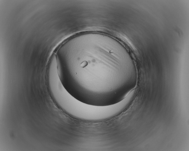 X0000113311268200910131100