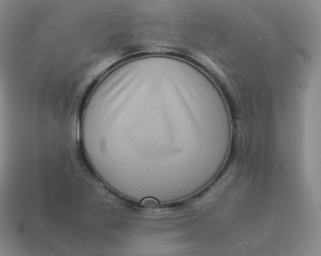 X0000113311269200910131100