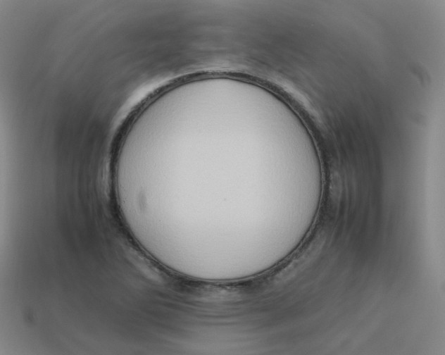 X0000113311270200910131100