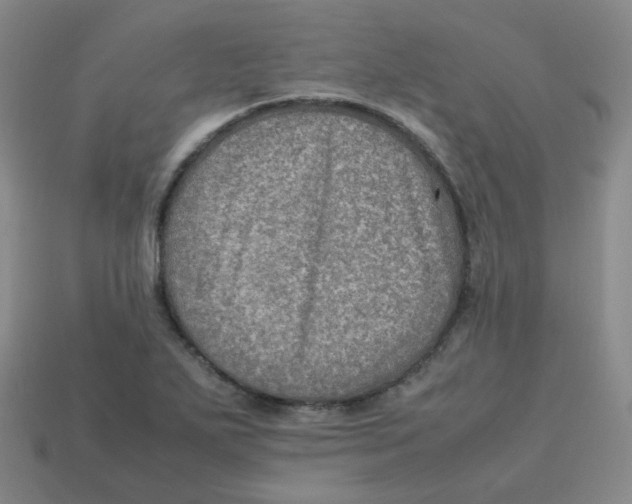 X0000113311271200910131100