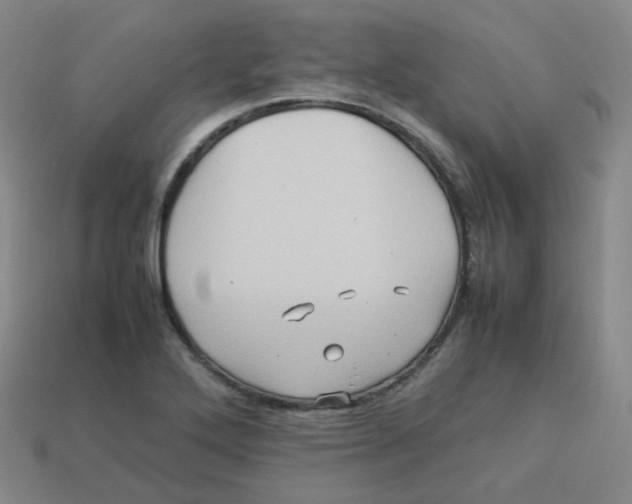 X0000113311272200910131100