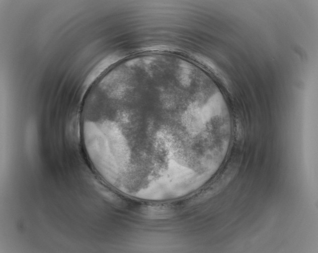 X0000113311274200910131100