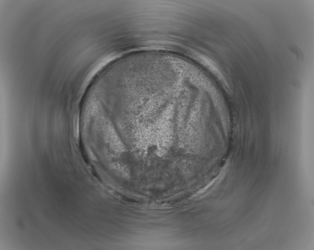 X0000113311275200910131100