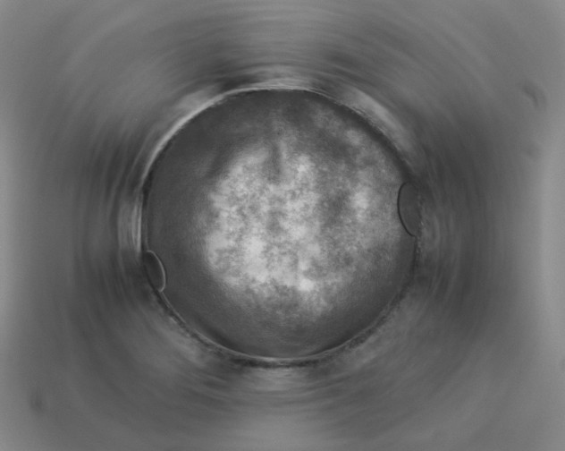 X0000113311276200910131100