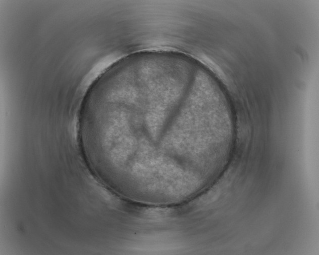 X0000113311277200910131100