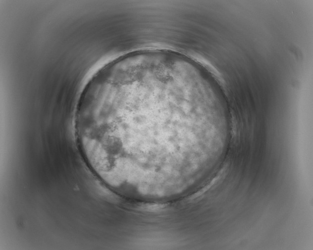 X0000113311278200910131100