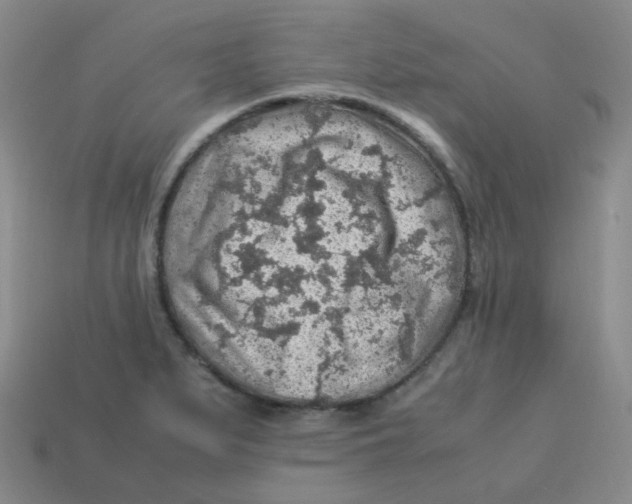 X0000113311279200910131100