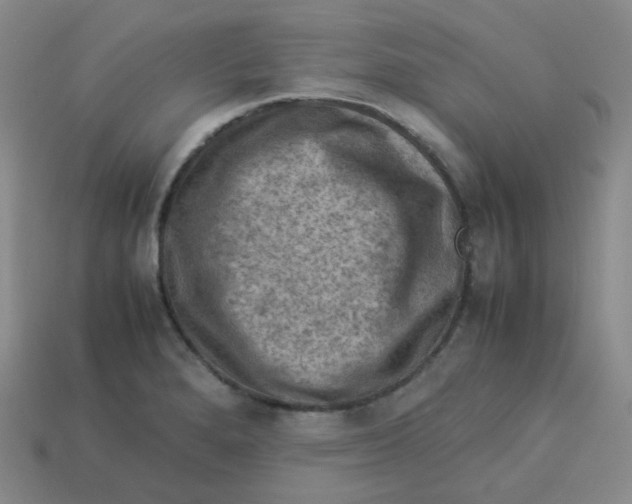 X0000113311280200910131100