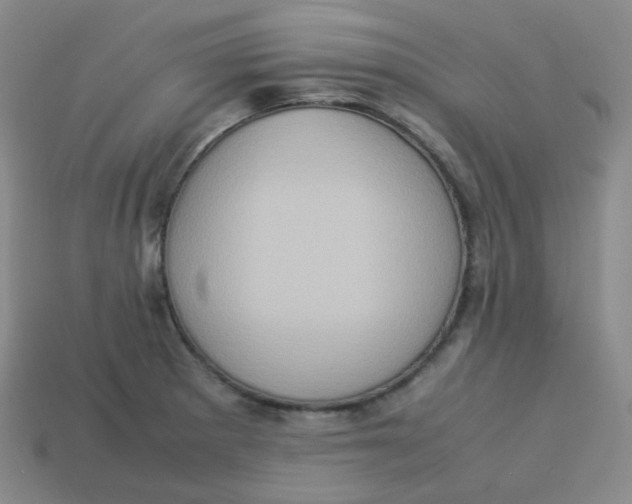 X0000113311281200910131100