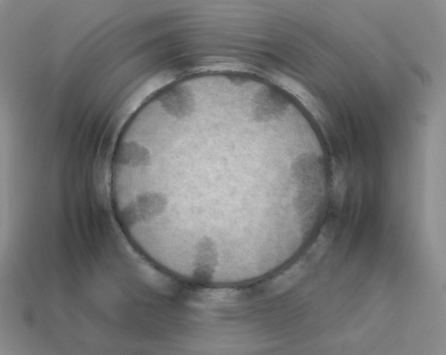 X0000113311282200910131100