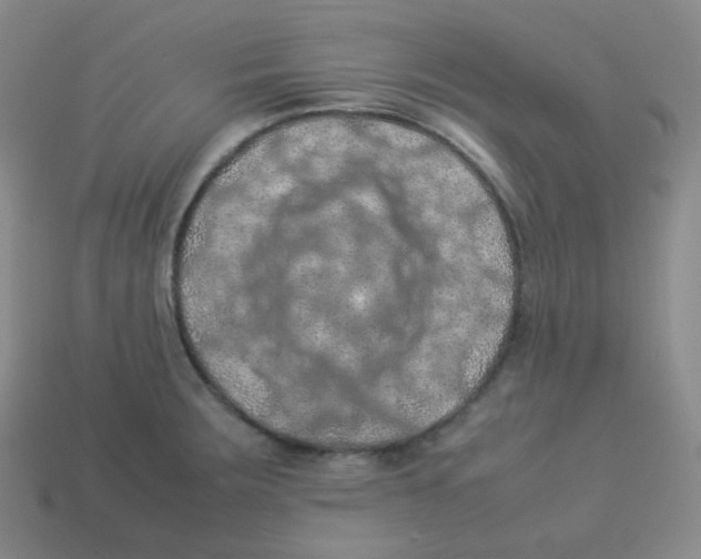 X0000113311283200910131100