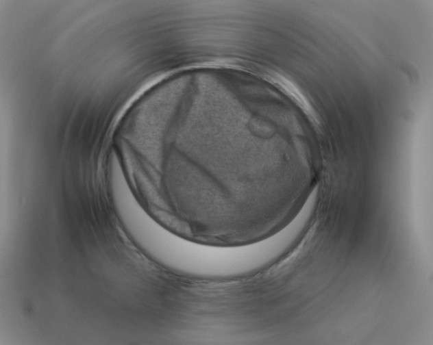 X0000113311284200910131100