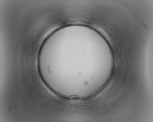 X0000113311285200910131100