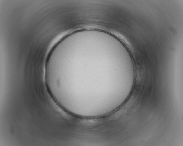 X0000113311286200910131100