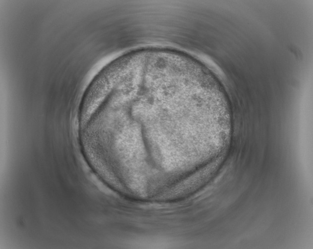 X0000113311287200910131100