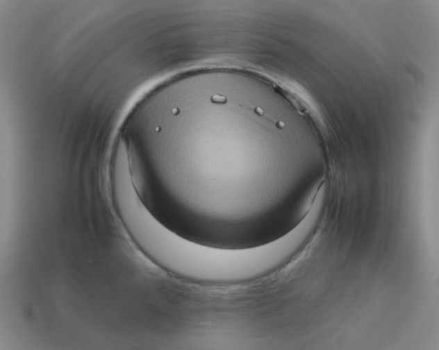 X0000113311288200910131100