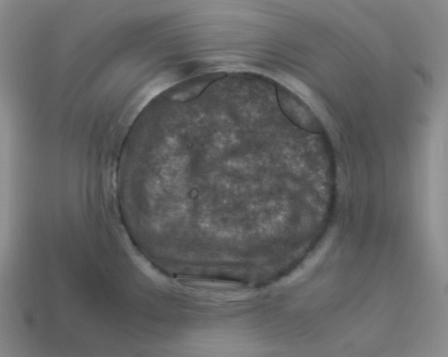 X0000113311289200910131100