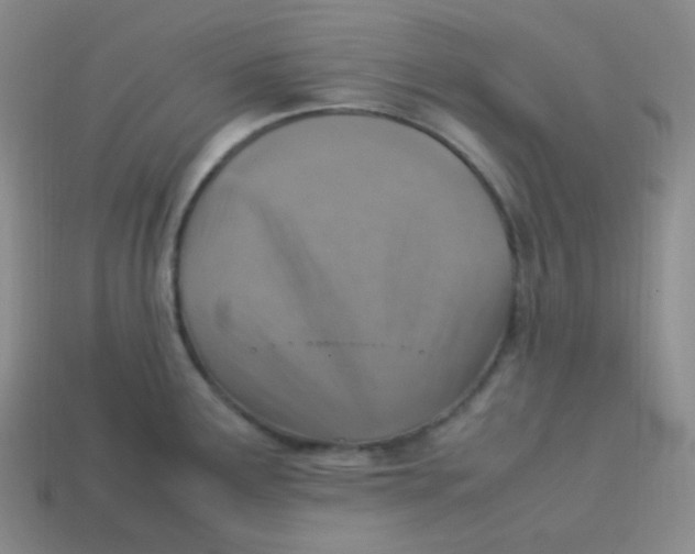 X0000113311291200910131100