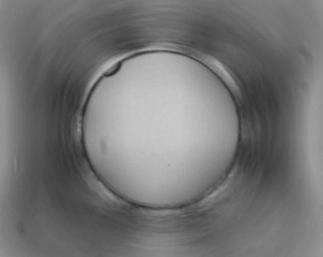 X0000113311292200910131100