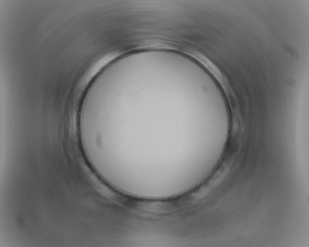 X0000113311293200910131100