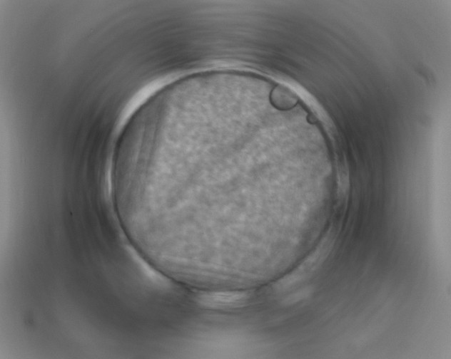 X0000113311294200910131100