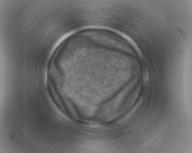 X0000113311295200910131100