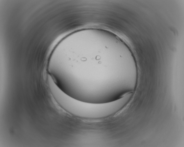 X0000113311296200910131100