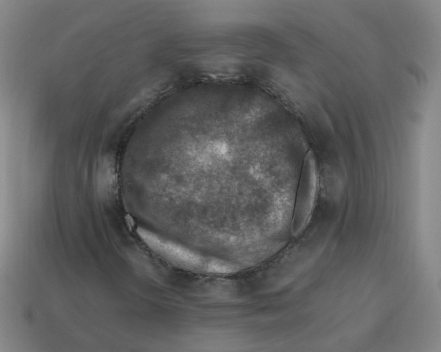 X0000113311298200910131059