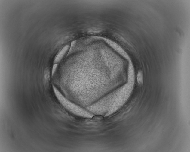 X0000113311299200910131059