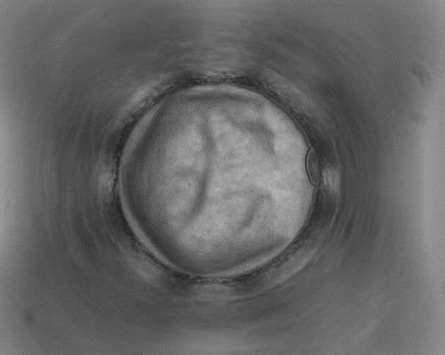 X0000113311300200910131059