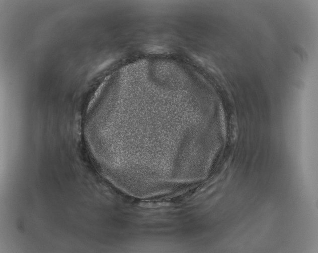 X0000113311301200910131059