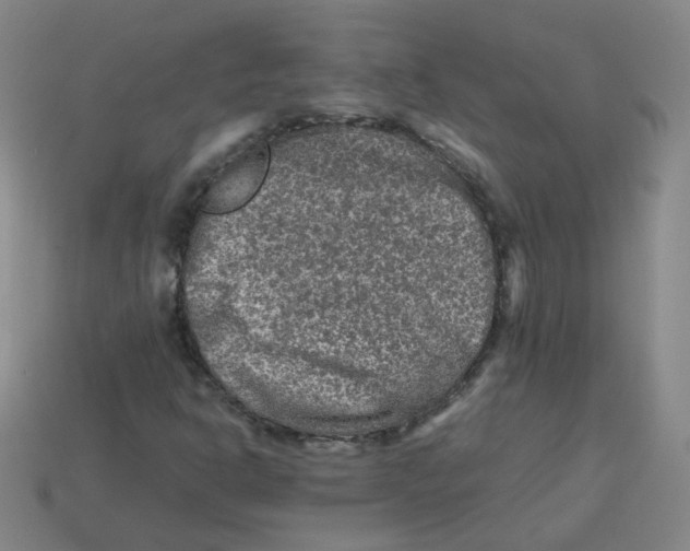 X0000113311302200910131059