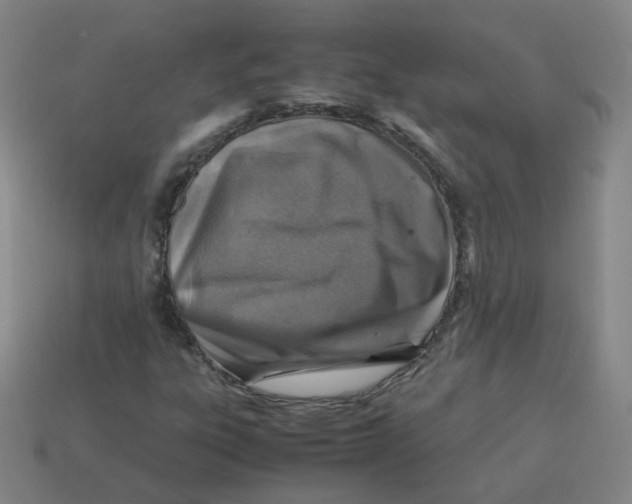 X0000113311303200910131059