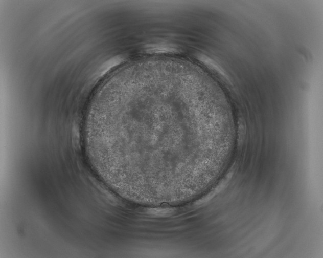 X0000113311305200910131059