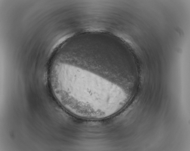 X0000113311306200910131059