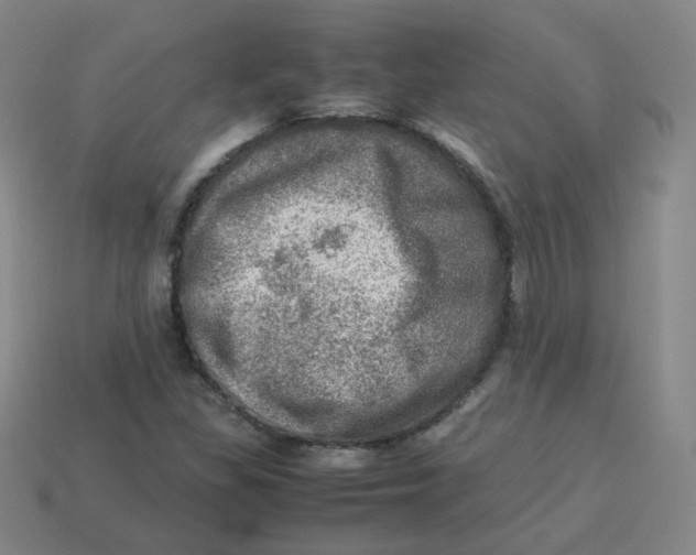 X0000113311309200910131059